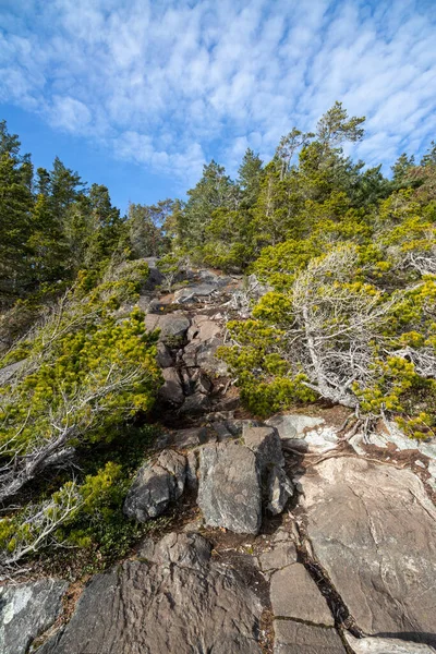 Sendero Rocoso Través Del Bosque Siempreverde Día Soleado Parque Regional —  Fotos de Stock