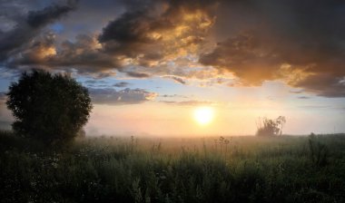 Sunrise yaz çayır