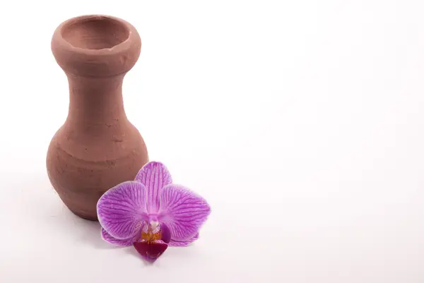 粘土の瓶花 — ストック写真
