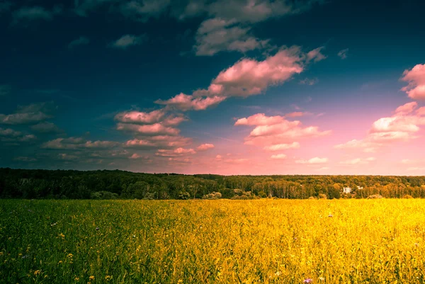 Grüne Wiese unter blauem Himmel mit Wolken und Wald in der Ferne. — Stockfoto