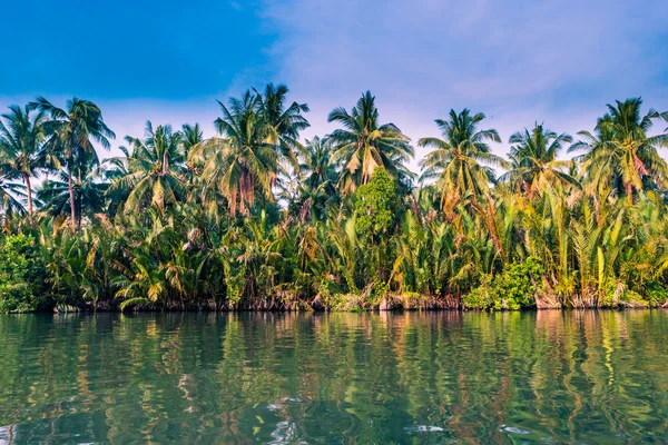 Palmbomen op zee kust bij mooie zonnige dag. — Stockfoto