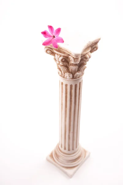 Coluna clássica com flor — Fotografia de Stock