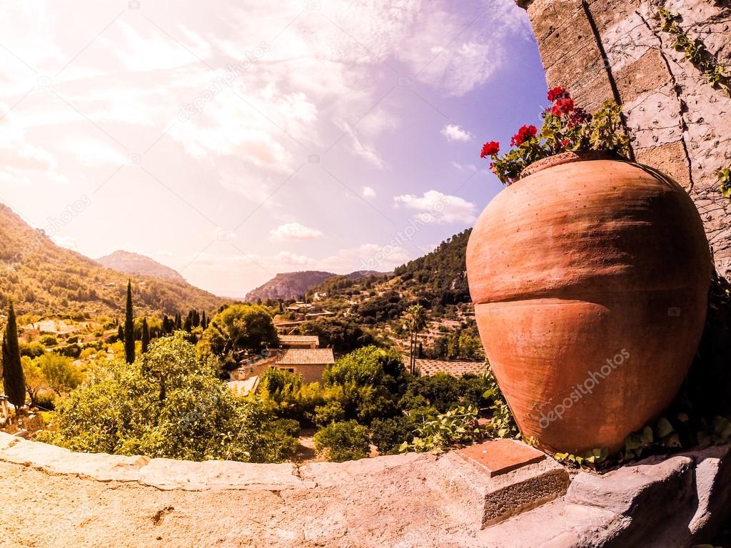 Big clay jar with flower near old stone wall, Mallorca island, S