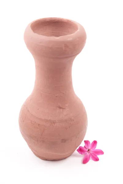 Clay pot met bloem — Stockfoto