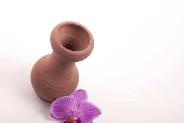 Clay jar with flower — Stock Photo, Image