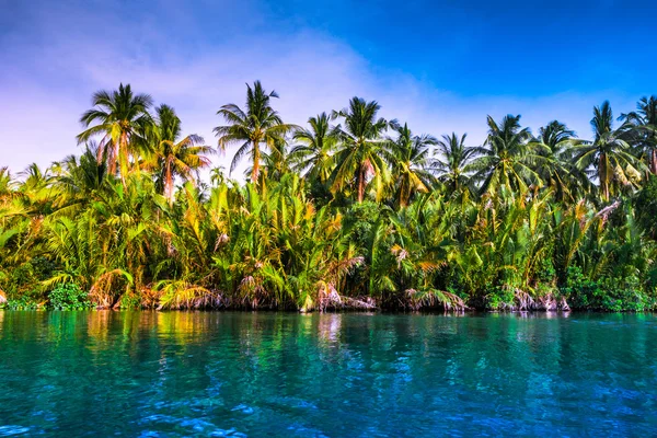 Palmbomen op zee kust bij mooie zonnige dag. — Stockfoto