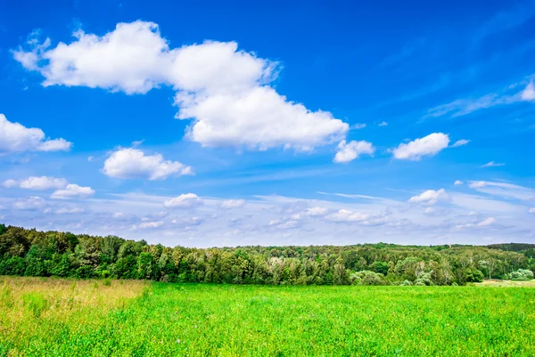 Prato verde sotto il cielo blu con nuvole e foresta in lontananza . — Foto Stock