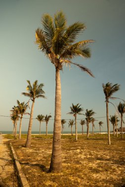 Avuçlar mavi gökyüzüne karşı