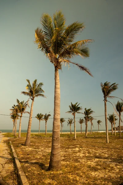 Avuçlar mavi gökyüzüne karşı