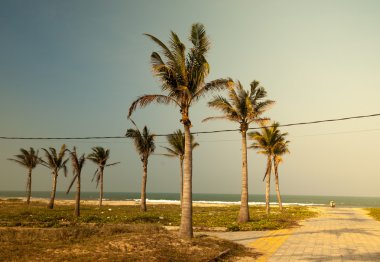 Avuçlar mavi gökyüzüne karşı