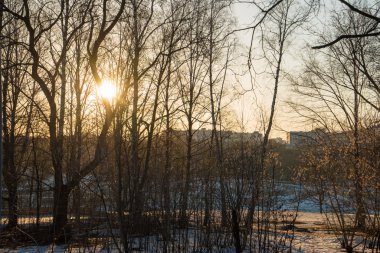 Gün batımı sırasında karlı bir yaprak döken orman patika