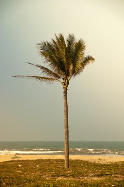 Avuçlar mavi gökyüzüne karşı