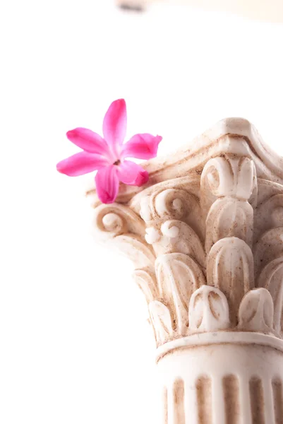 Classical column with flower — Stock Photo, Image