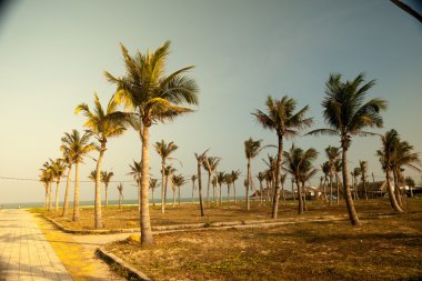 Avuçlar mavi gökyüzüne karşı