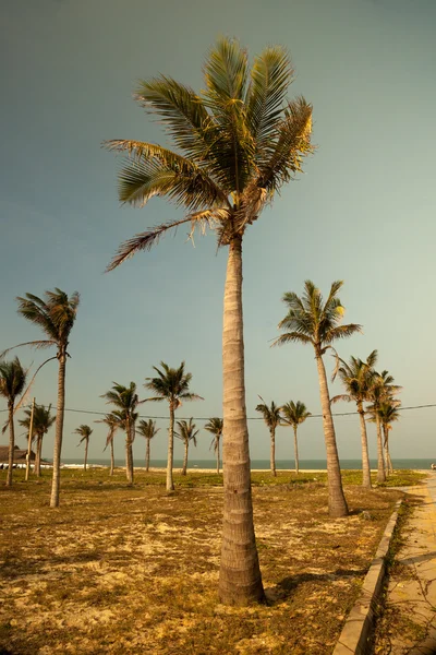 Avuçlar mavi gökyüzüne karşı