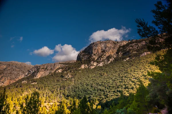 마요르카 섬, Spai의 서쪽 부분에 아름 다운 산 — 스톡 사진