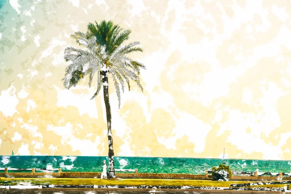 棕榈树沿着海岸在帕尔马 — 图库照片