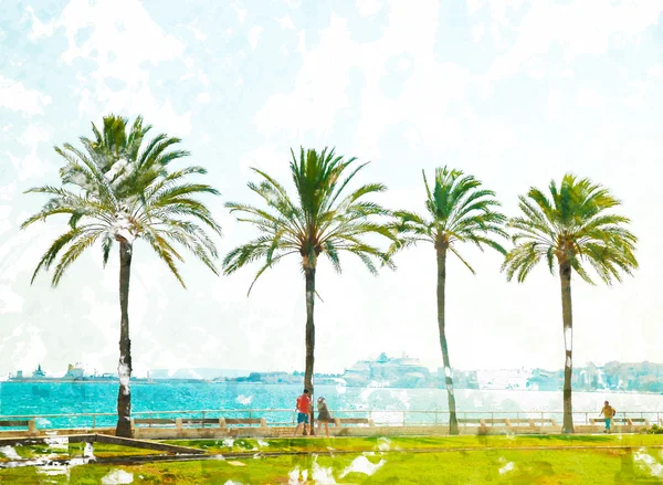 Pálmafákkal a partján, Palma de Mallorca — Stock Fotó