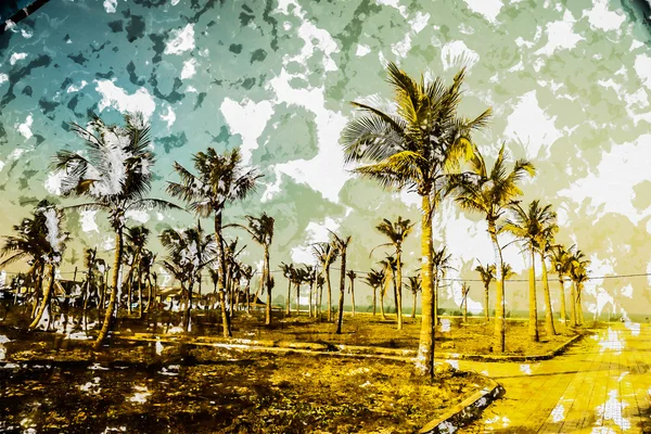 Palms against blue sky — Stock Photo, Image
