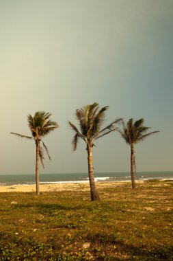 Avuçlar mavi gökyüzüne karşı