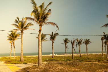 Avuçlar mavi gökyüzüne karşı