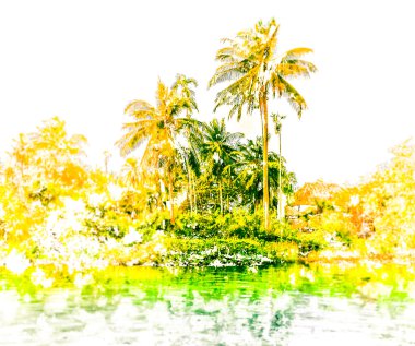 Güzel bir güneşli gün deniz sahilinde palmiye ağaçlarının.