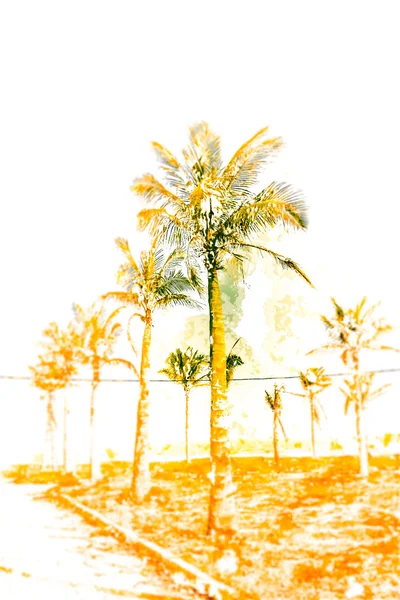Palmen gegen blauen Himmel — Stockfoto