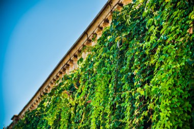 IVI ve yıpranmış tarihi korkuluk duvarı