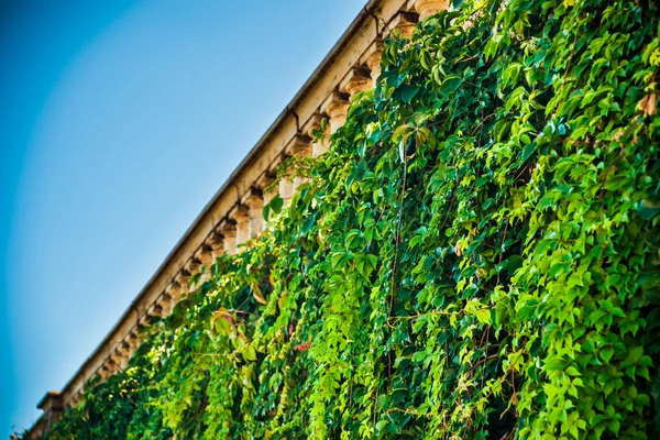 IVI ve yıpranmış tarihi korkuluk duvarı