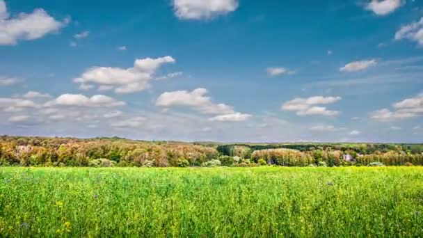 Timelapse met wolken die over het groene veld vliegen — Stockvideo