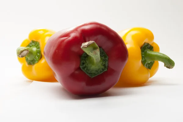 Bell Peppers on a white background — Stock Photo, Image