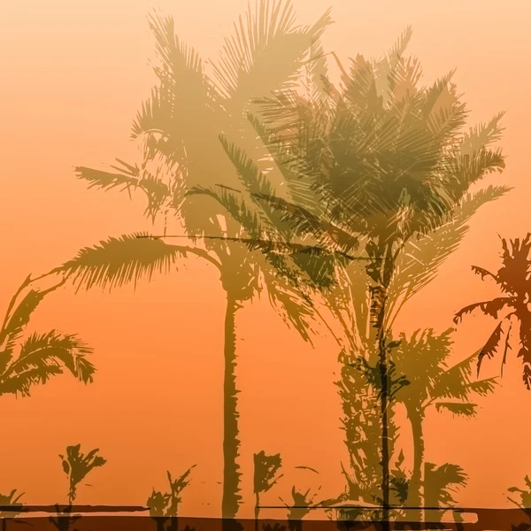 Palm Tree Print — Stockfoto