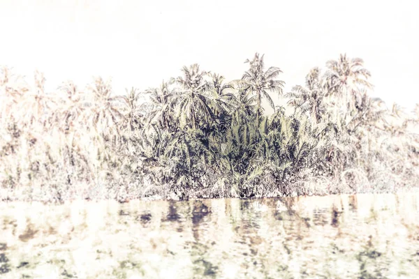 Palmiers au bord de la mer par une belle journée ensoleillée . — Photo