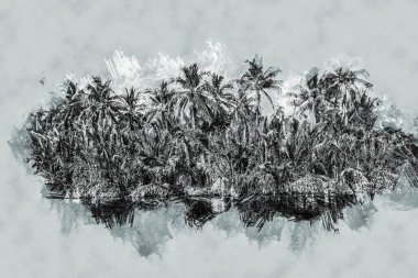 Güzel bir güneşli gün deniz sahilinde palmiye ağaçlarının.