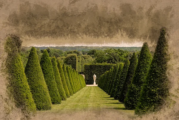 Linhas de sebes cônicas e gramado, Versailles Chateau, França — Fotografia de Stock