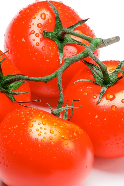 Tomaten auf weißem Hintergrund — Stockfoto