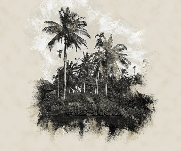 Palmové stromy na břehu moře na krásný slunečný den. — Stock fotografie