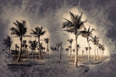 Avuçlar mavi gökyüzüne karşı