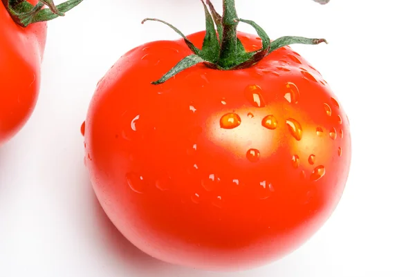 Tomater på en vit bakgrund — Stockfoto