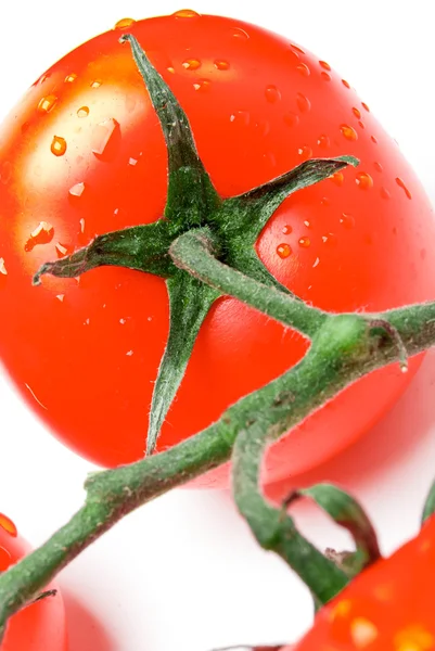 Tomatoes on a white background — Stock Photo, Image