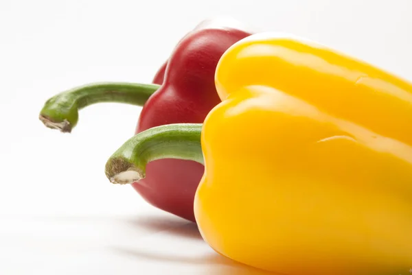 Paprika 's op een witte achtergrond — Stockfoto