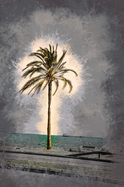 Palmen entlang der Küste in Palma de Mallorca — Stockfoto