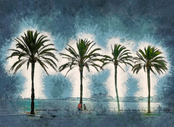 Φοινικόδεντρα κατά μήκος της ακτής σε Πάλμα ντε Μαγιόρκα — Φωτογραφία Αρχείου