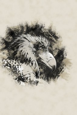 siyah uçurtma portresi