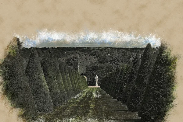 원뿔 울타리 선 및 잔디, 베 르 사 이유 궁전, 프랑스 — 스톡 사진