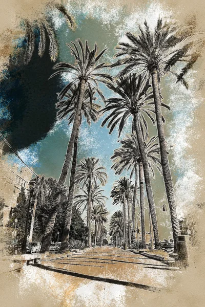 Пальмы Пальма-де-Майорки — стоковое фото