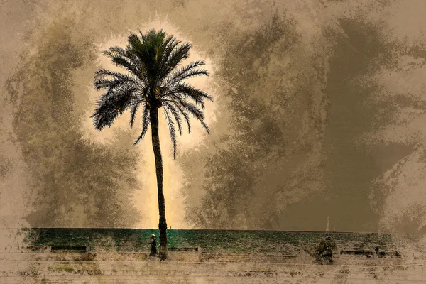 Дерева пальми вздовж узбережжя міста Пальма — стокове фото