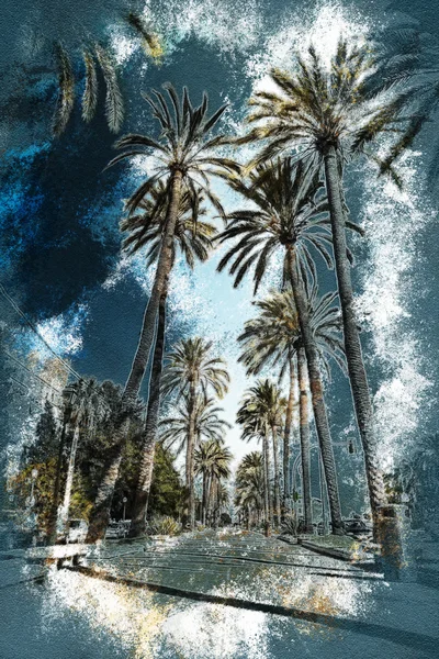 Palma de Mallorca'da palmiye ağaçları — Stok fotoğraf