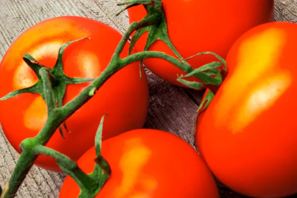 Rote Tomaten auf Holz — Stockfoto