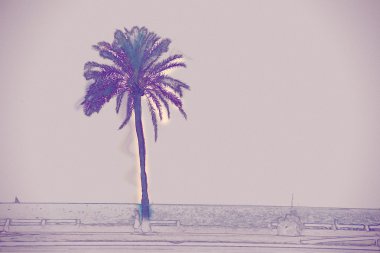 Palma de Mallorca'da sahilinde palmiye ağaçları